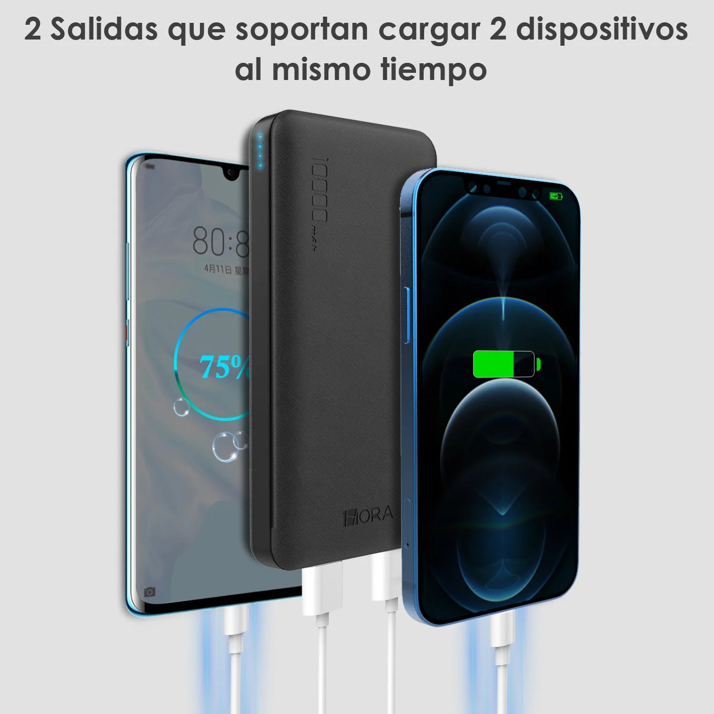 Batería portátil 10000mAh 2.1A - GAR094